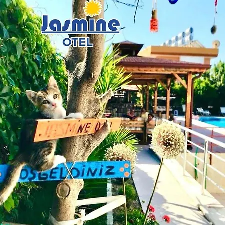 홈스테이 Jasmine